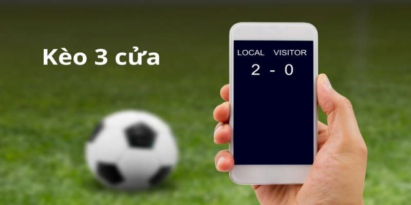 Bongvip - Tham gia trang cá cược kèo 3 cửa siêu chuẩn xác